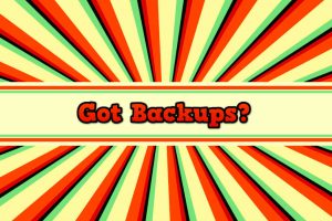 HostNexus Backup System