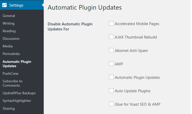 Auto Update WordPress Plugins Settings