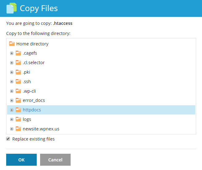 File Manager Copy Files