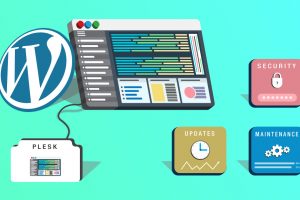 Plesk WordPress Toolkit Guide