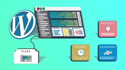 Plesk WordPress Toolkit Guide