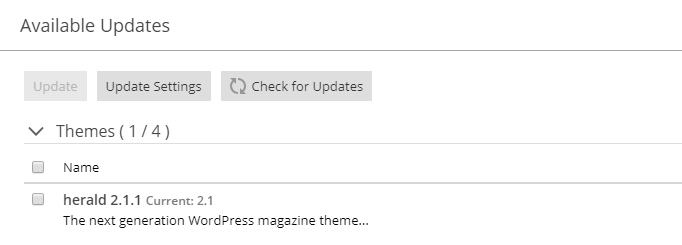 WordPress Theme Updates